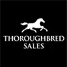 thoroughbred race series.png